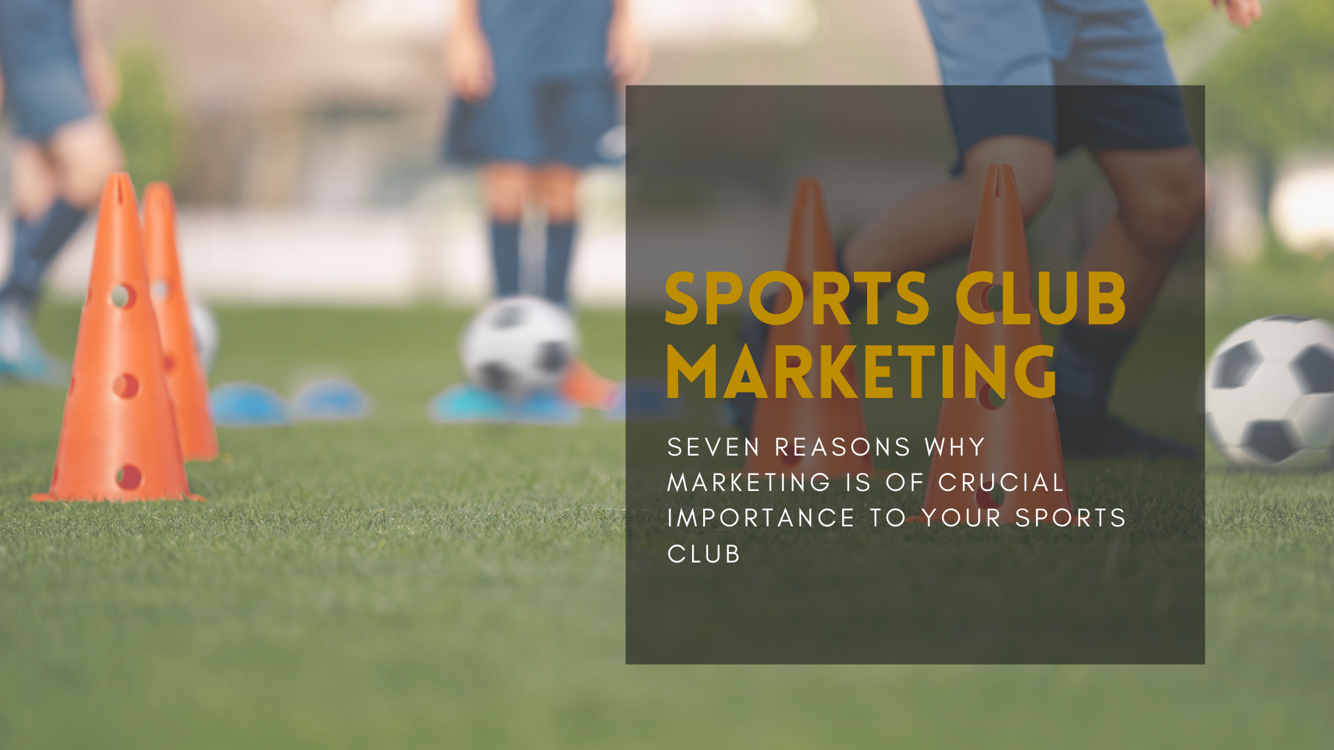Sports Club Marketing - Why It is Important? | Content Hype